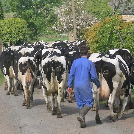 Bed and Breakfast Le Jardin