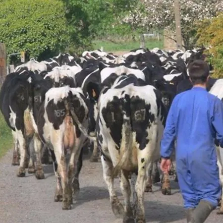 Le Jardin Isigny-le-Buat