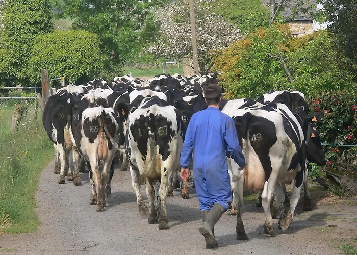 Bed & Breakfast Le Jardin