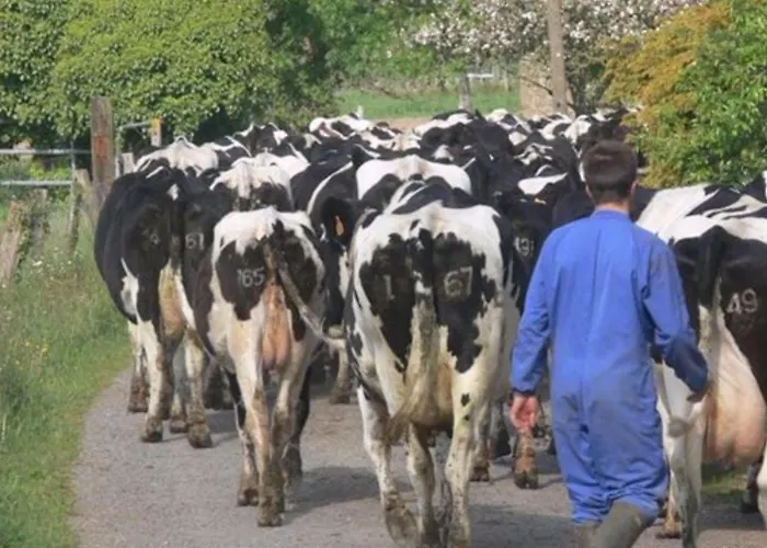 Le Jardin Isigny-le-Buat
